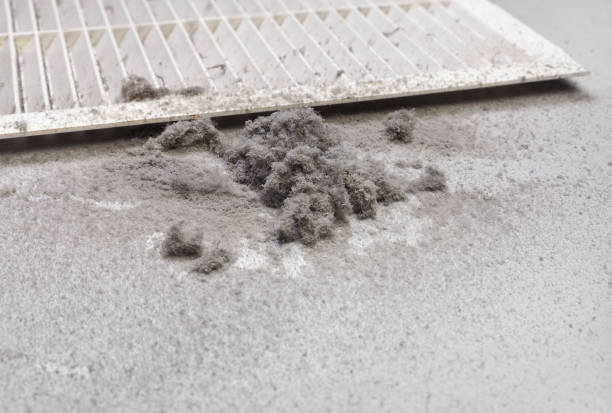 Best Home Air Vent Cleaning  in Purvis, MS