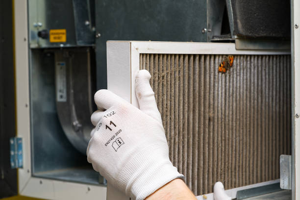 Best Air Duct Cleaning Near Me in Purvis, MS